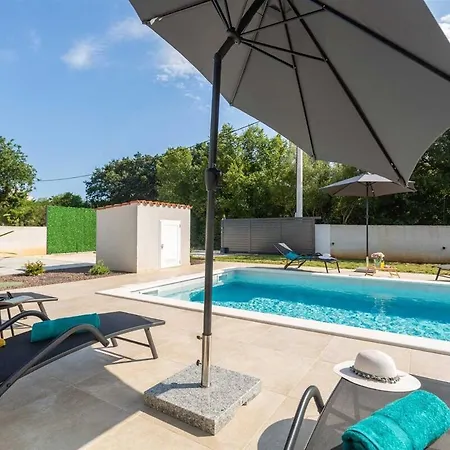 Grandini Azzurra By Kompas